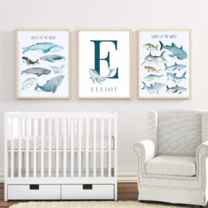 Ballenas y tiburones CUA102