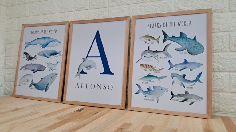 Set de ballenas y tiburones con el nombre Alfonso